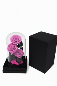 ruza-02e-5-ljubicasta