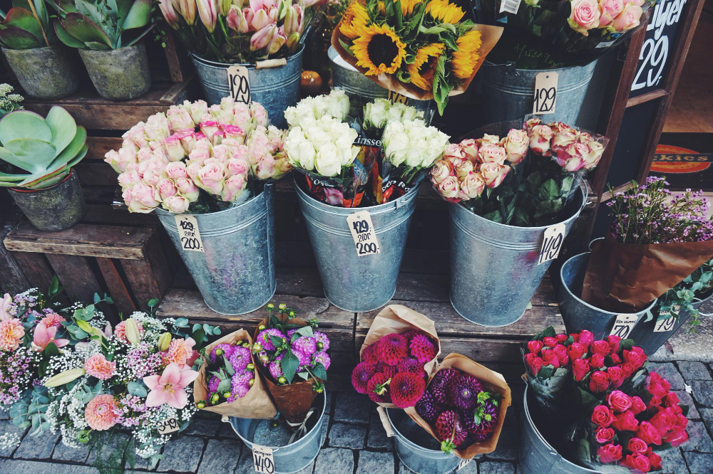 Kako otvoriti cvećaru Vodič za uspešan početak