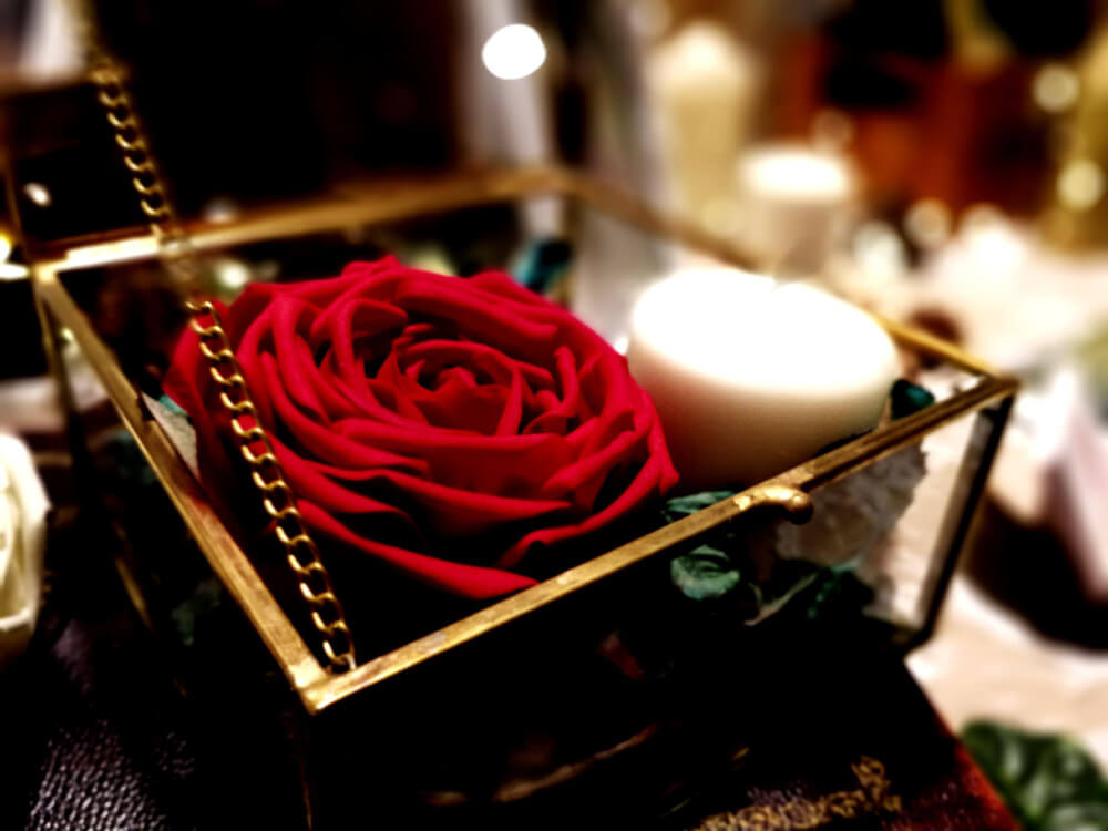 Moć „večnih“ ruža – prednosti dehidriranog cveća u ponudi cvećare