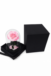 ruza-01e-18-lila-roze