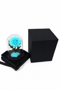 ruza-01e-12-svetlo-plava