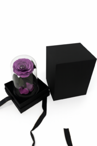 ruza-01e-13-ljubicasta