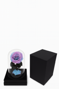 ruza-01e-19-lila-plava