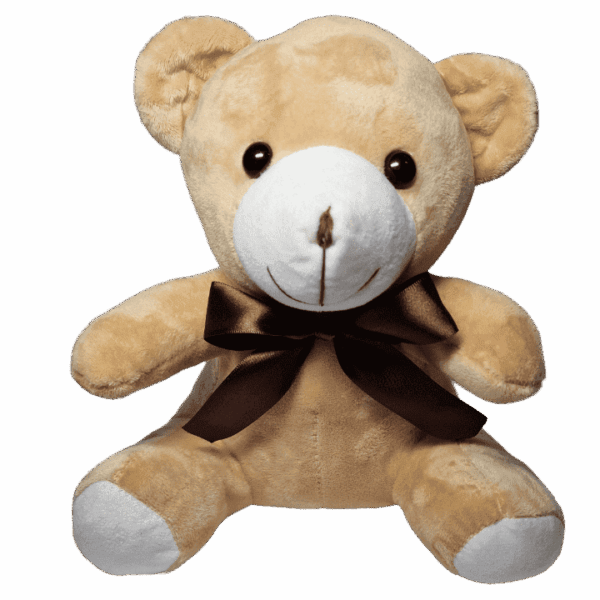 Plisani medvedi 25cm