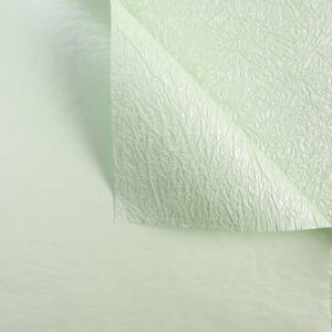 fdzza-1-svetlo-zelena