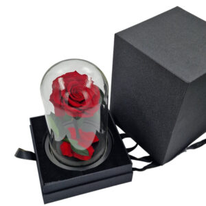 ruza-01e-12-svetlo-plava