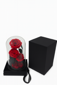 ruza-02e03-tamno-plava