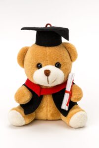 medved-diplomac-a-02-bez