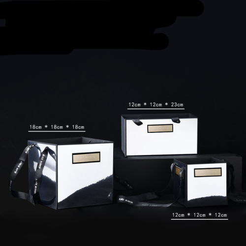 Torbica Mirror (HBJ)