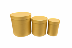 plisana-kutija-bloom-klasik-zlatna