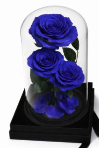 ruza-02e03-tamno-plava